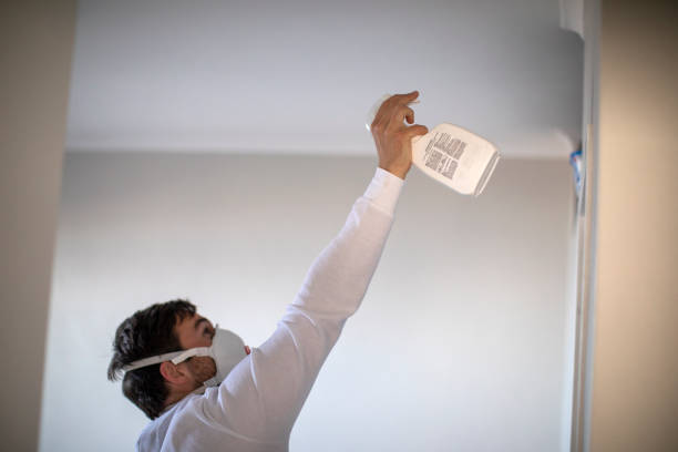 Best Home Mold Removal  in Clinton, LA
