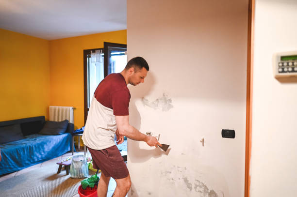 Best Attic Mold Removal  in Clinton, LA