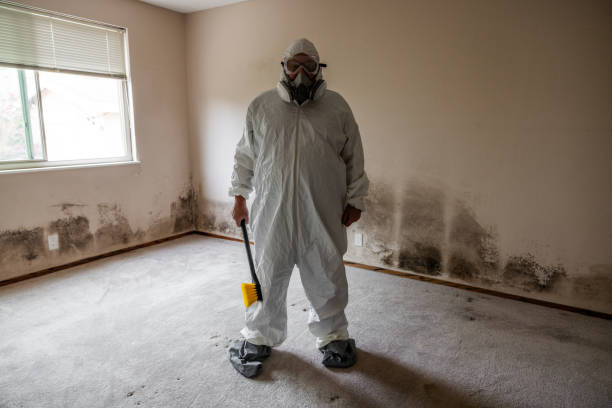Best Emergency Mold Removal  in Clinton, LA